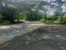 रस्ते विकासकाम